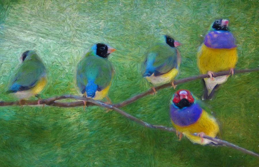 Gouldian Finch  Mixed Media by Joan Stratton