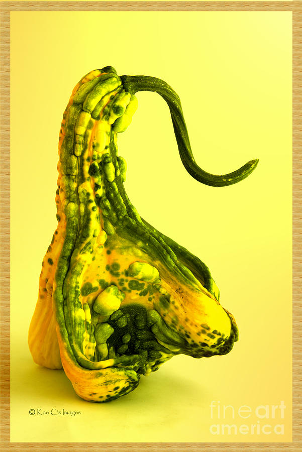 Gourd Art #1 Mixed Media by Kae Cheatham Gourd Art #1 Mixed Media by Kae Cheatham