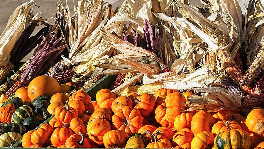 Gourds and Corn Photograph by Steven Ralser