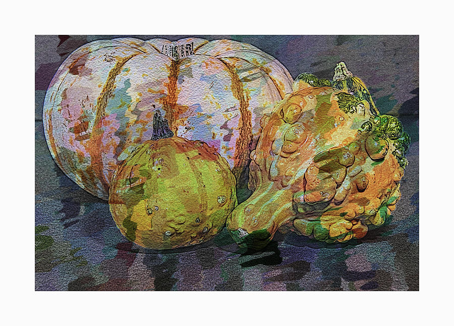 Gourds And Pumpkin Digital Art Photograph