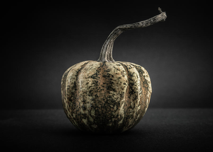 Fall Photograph - Gourds No 1 Color Version by Brian Carson