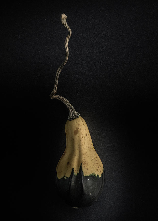 Fall Photograph - Gourds No 16 Color Version by Brian Carson