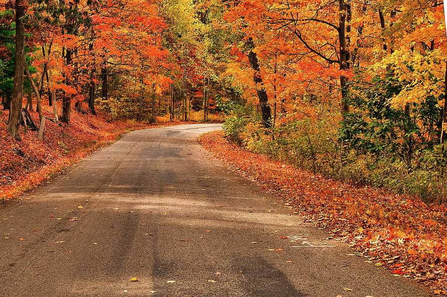 Fall Photograph - Grab Your Bike and Lets Ride by Randall Branham