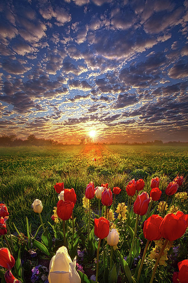 Grace Is The Difference Photograph by Phil Koch