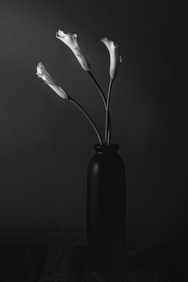 Grace of a Calla Lily Photograph by Dodie Ross Grace of a Calla Lily Photograph by Dodie Ross
