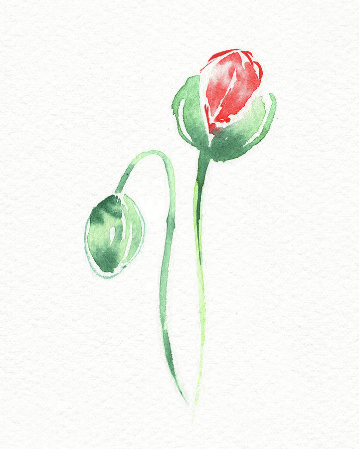 Graceful Beauty Botanical Watercolor Red Poppies Flowers I Painting