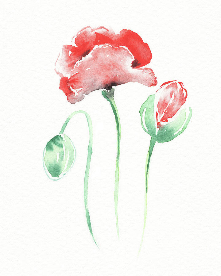 Graceful Beauty Botanical Watercolor Red Poppies Flowers II Painting by Irina Sztukowski