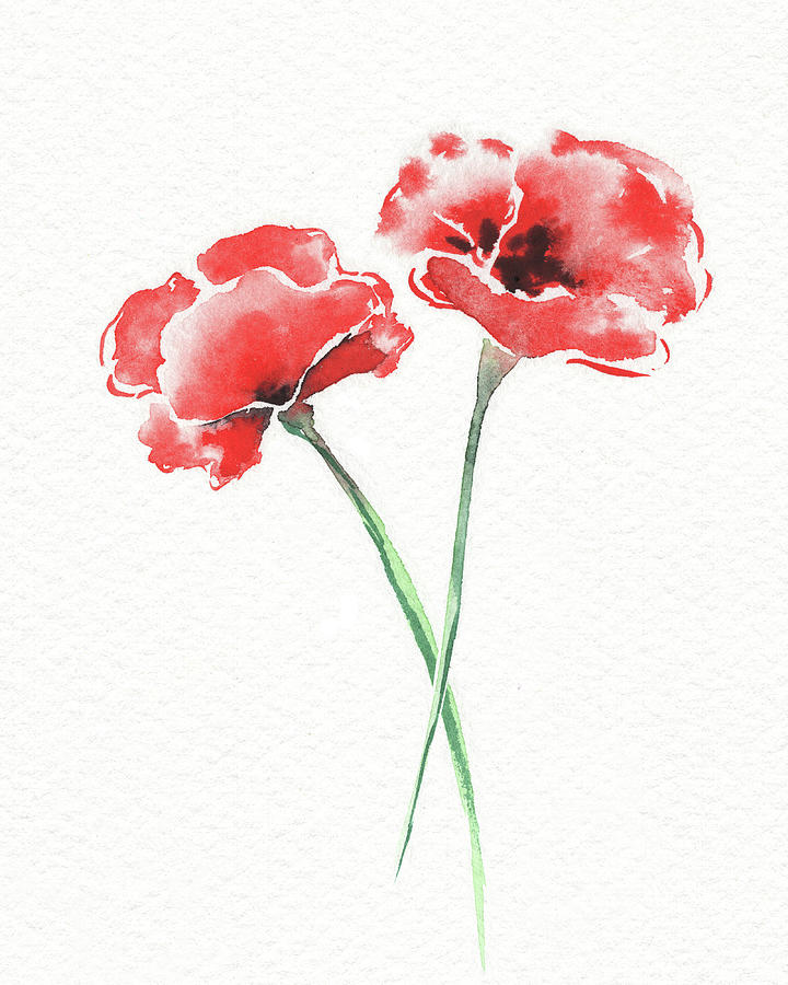 Graceful Beauty Botanical Watercolor Two Red Poppies Flowers Painting