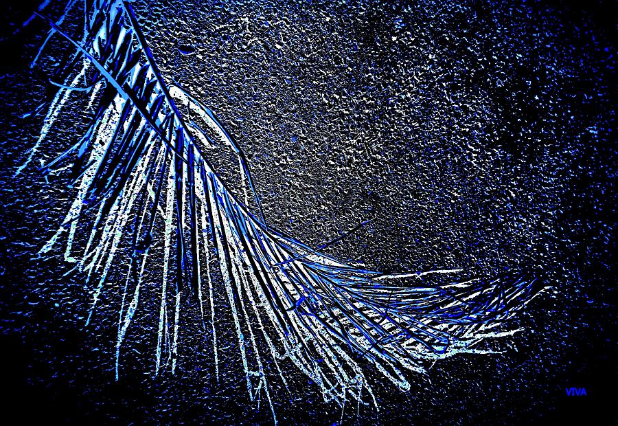 Graceful Frond in Blue Photograph by VIVA Anderson