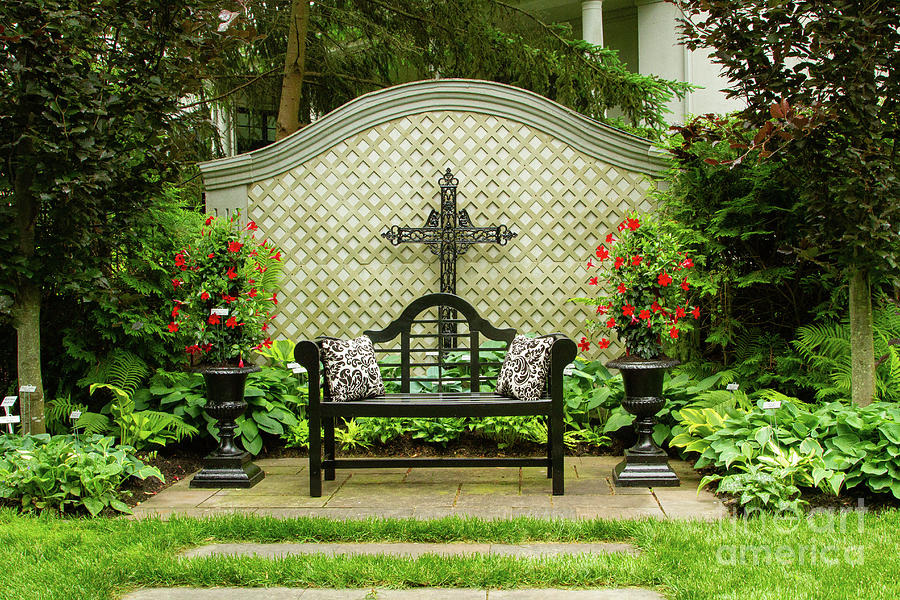 Graceful Garden Bench Photograph by Marilyn Cornwell