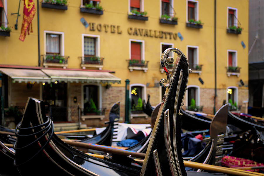 Gracefully Curved Gondola Risso Photograph by Lindsay Thomson