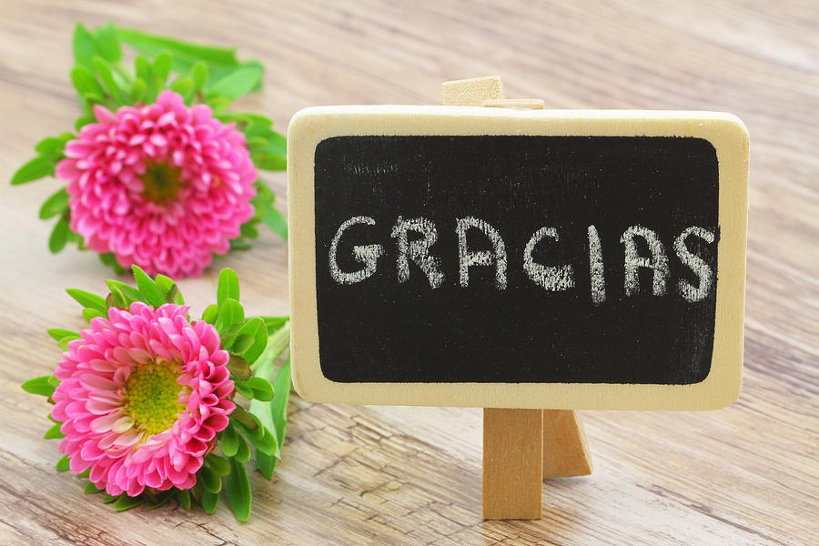 Gracias (thank you in Spanish) written on blackboard, pink daisies Photograph by Graletta