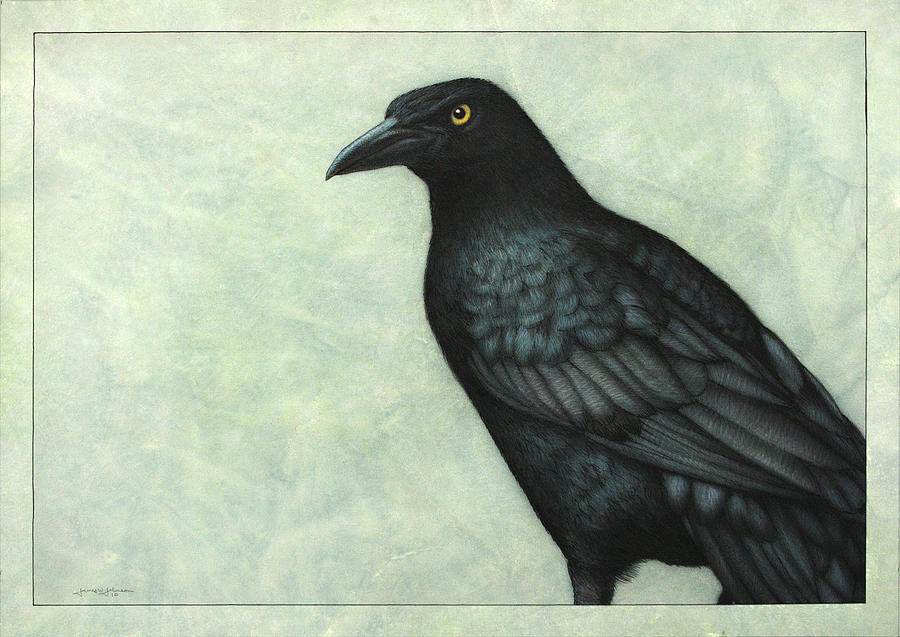 Blackbird Painting - Grackle by James W Johnson