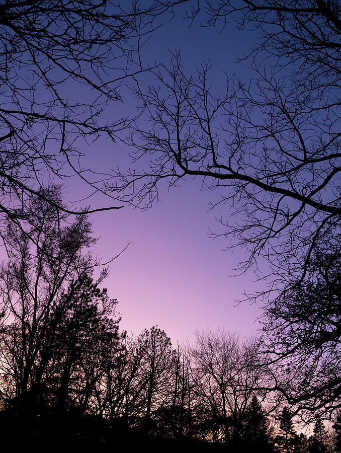 Gradient Sunset Photograph by Brooke Bowdren