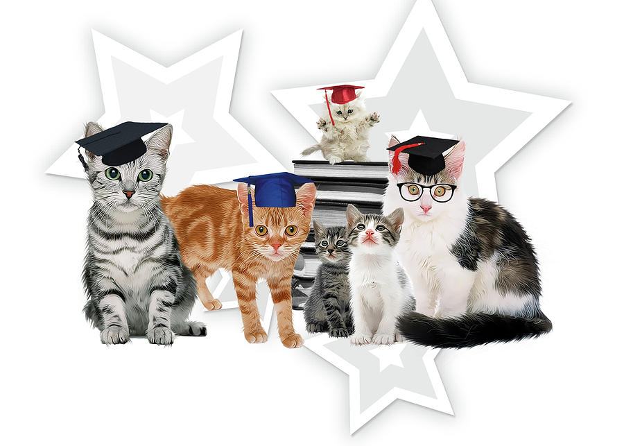 Graduate Cats in Caps Digital Art by Doreen Erhardt