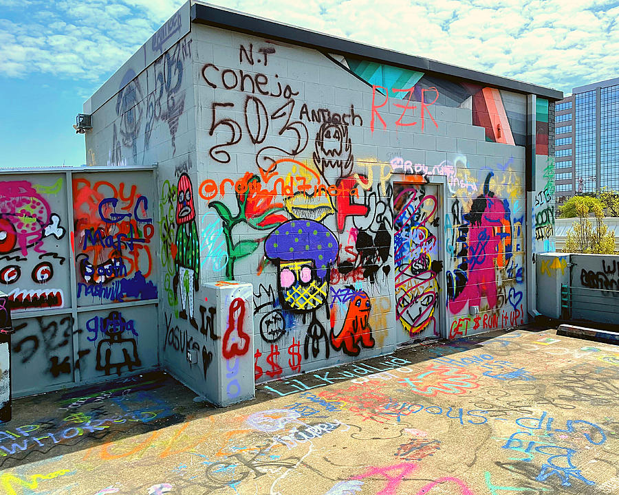 Graffiti 1 Photograph by Lee Darnell