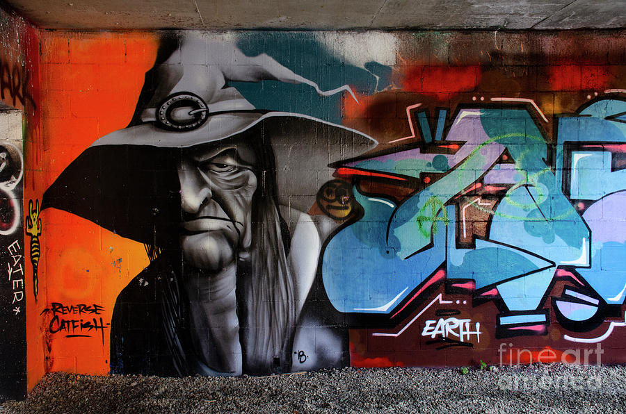 Graffiti And Street Art 1 Photograph by Bob Christopher