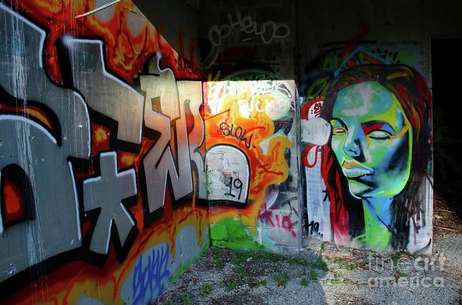 Graffiti And Street Art 4 Photograph by Bob Christopher
