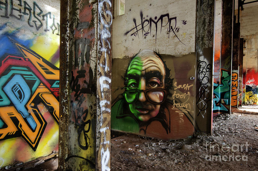 Graffiti And Street Art 5 Photograph by Bob Christopher