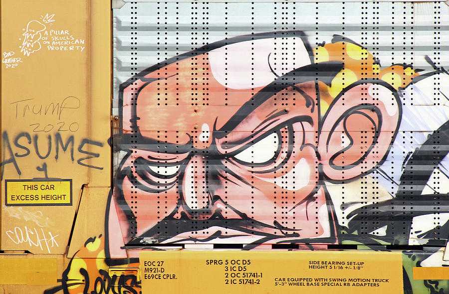Graffiti auto Rack Car 693900 Photograph by Joseph C Hinson
