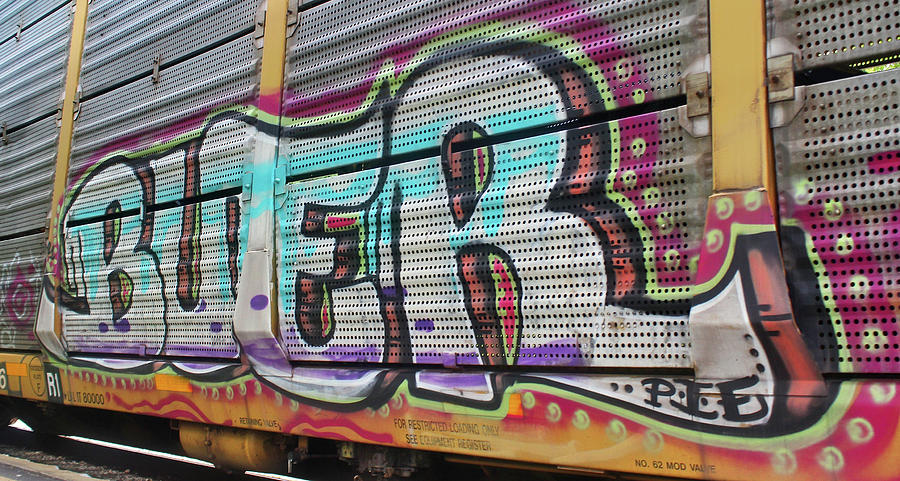 Graffiti auto Rack Car, roo Photograph by Joseph C Hinson