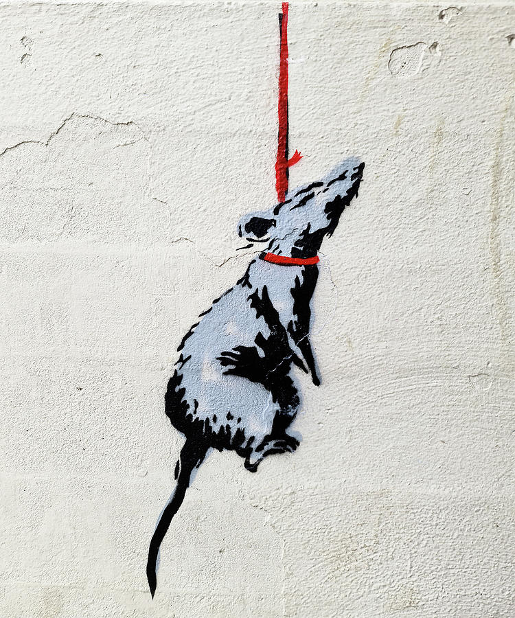 Graffiti By Banksy From Reading, Uk Digital Art