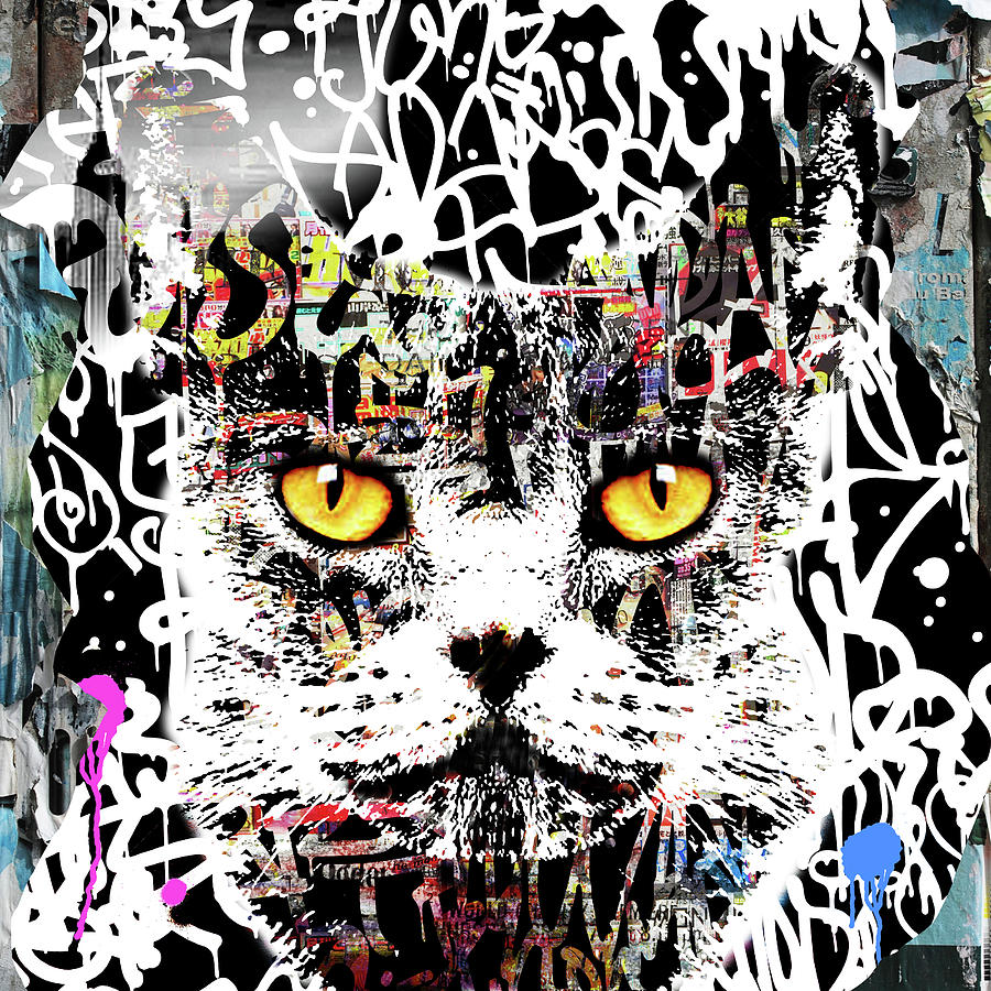 Graffiti Cat Banksy Style Painting by Robert R Splashy Art Abstract Paintings