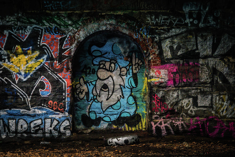 Graffiti Photograph by Darrell DeRosia