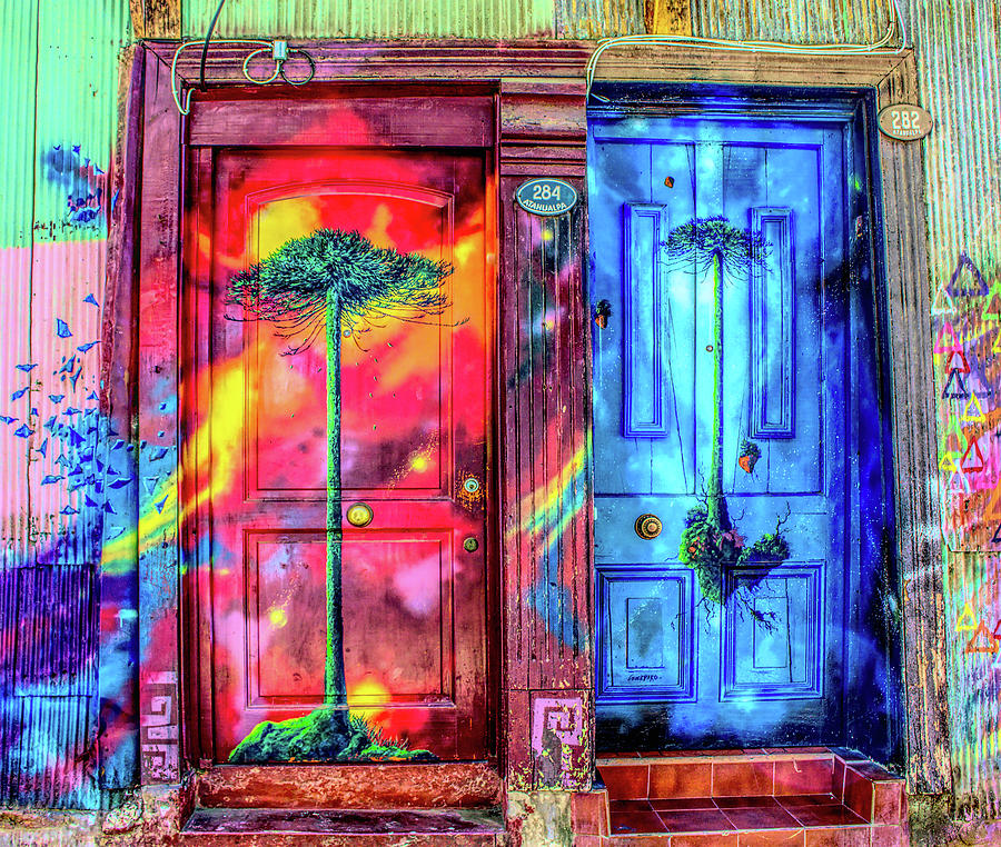 Graffiti Doors From Chile Digital Art