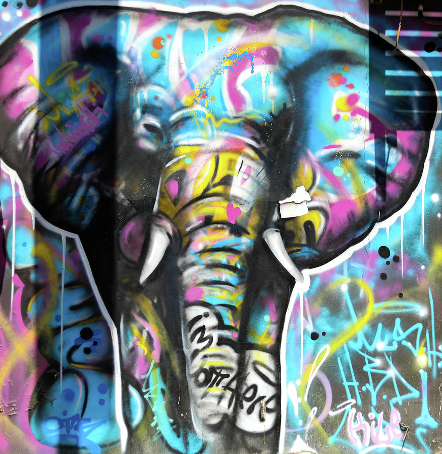 Graffiti Elephant Photograph By Brittney Davis Pixels