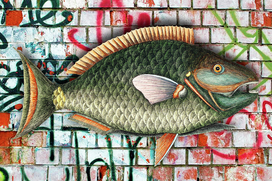 Graffiti Fish Fishing Pop 4 Painting by Tony Rubino