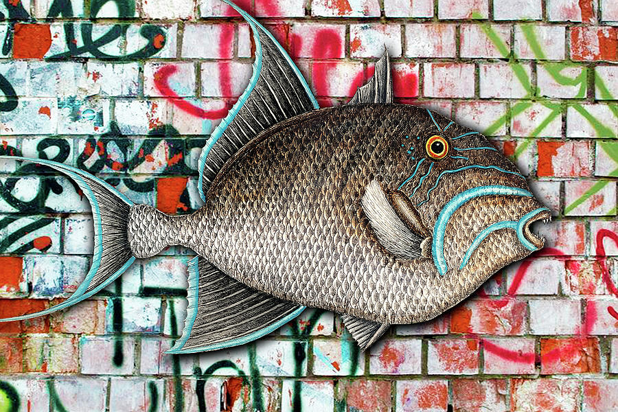 Graffiti Fish Fishing Pop 5 Painting by Tony Rubino