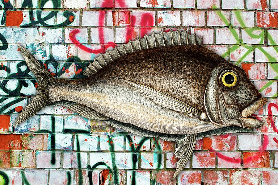 Graffiti Fish Fishing Pop 6 Painting by Tony Rubino