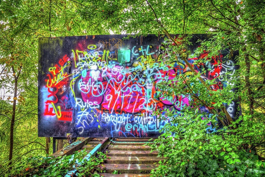 Graffiti In The Woods Photograph by Spencer McDonald