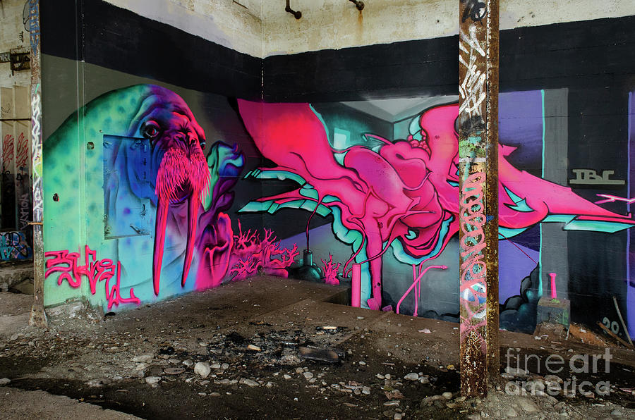 Graffiti Photograph - Graffiti Masters 10 by Bob Christopher
