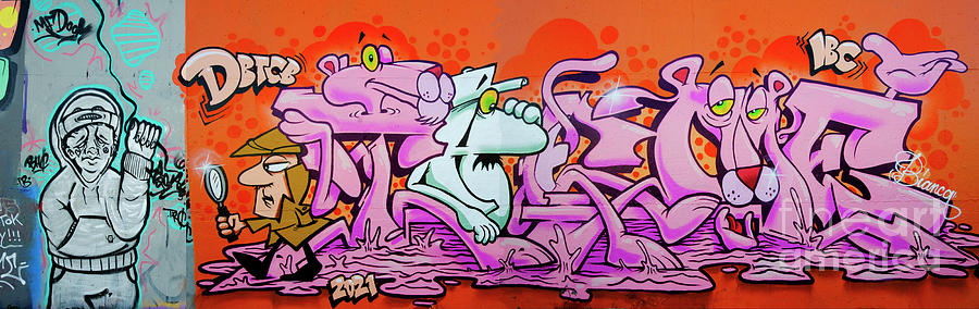 Graffiti Masters 15 Photograph by Bob Christopher
