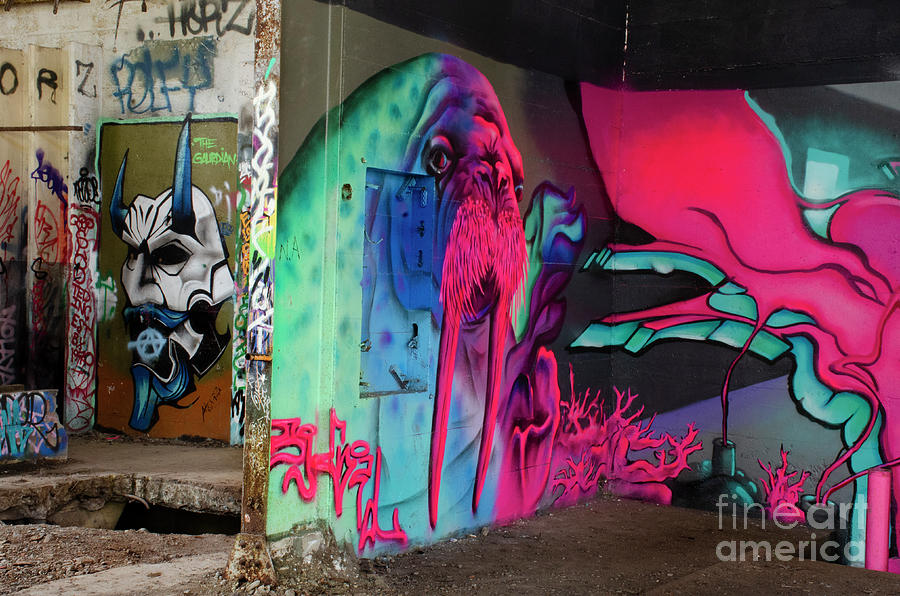 Graffiti Masters 23 Photograph by Bob Christopher