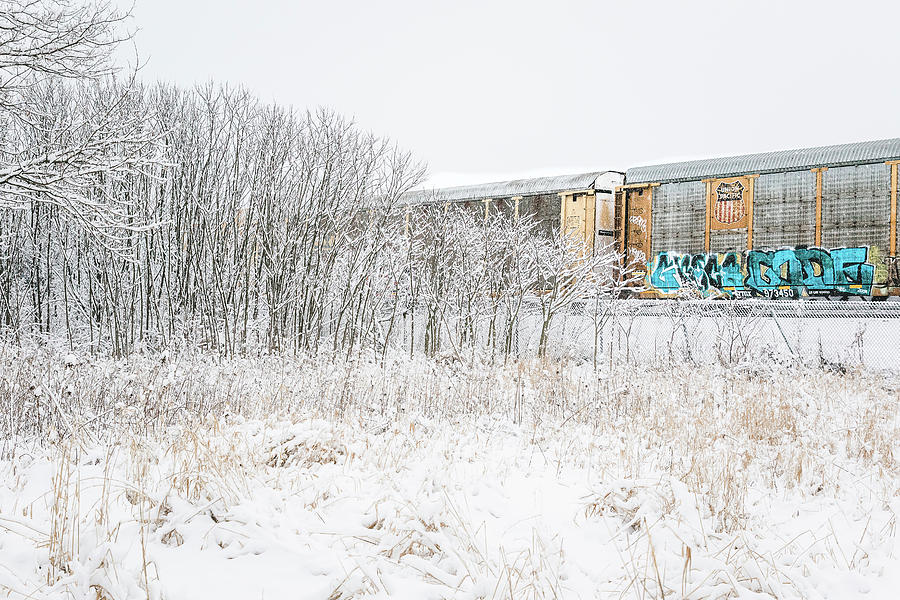 Graffiti on a snowy day Photograph by Joni Eskridge