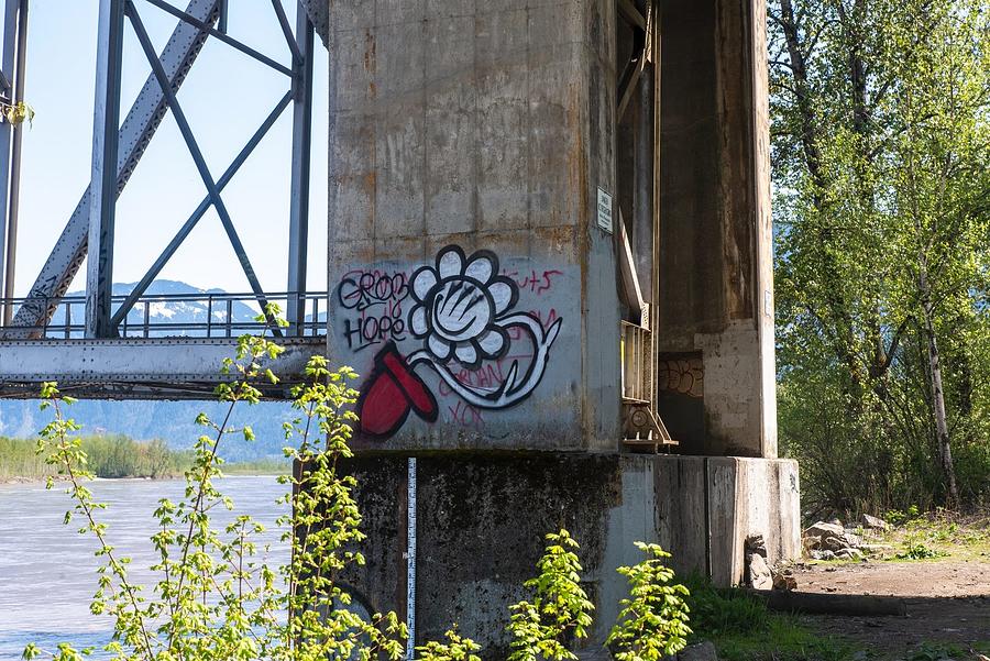 Graffiti on Agassiz-Rosedale Bridge Photograph by Tom Cochran