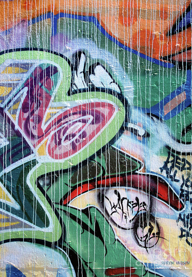 graffiti painting - White Rain Photograph by Sharon Hudson