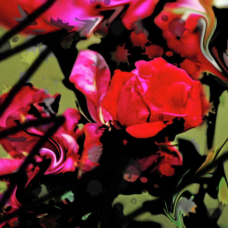 Rose Photograph - Graffiti Rose by Simone Hester