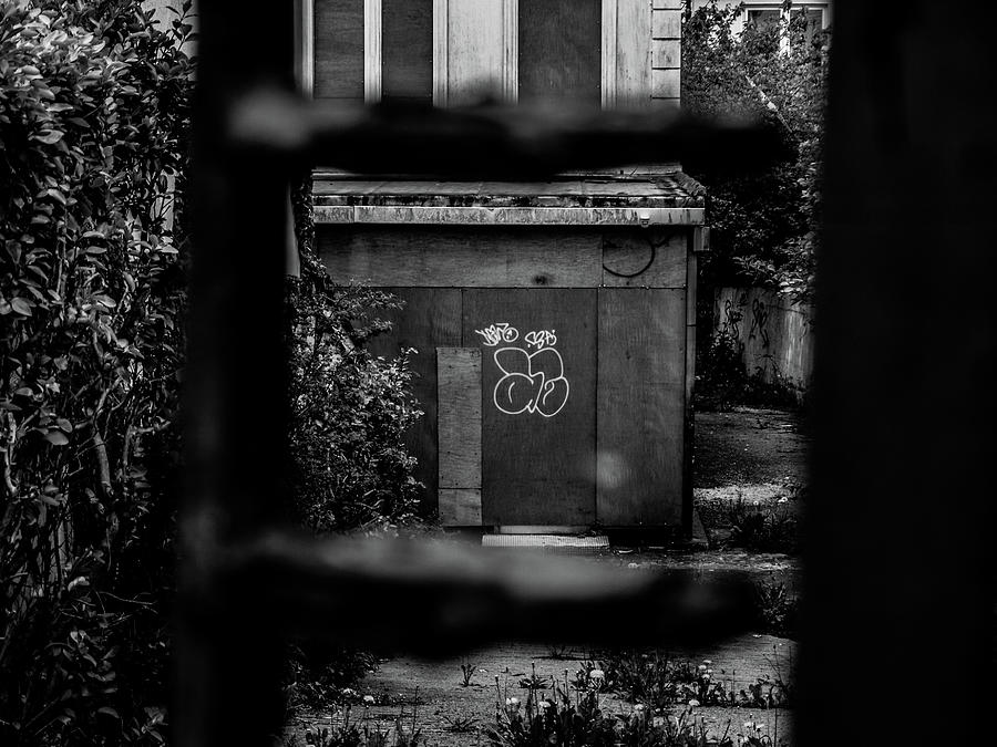 Graffiti Through Gate Photograph by Edward Lee