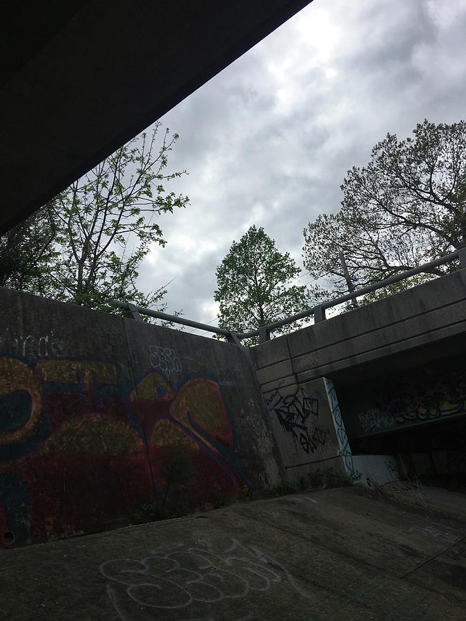 Graffiti Under The Bridge Photograph by Ashontay Simms