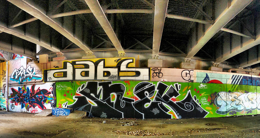 Graffiti under the Freeway Photograph by Lois Ivancin Tavaf - Fine Art ...