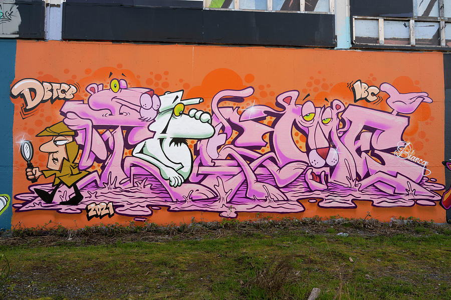 Graffiti Wall Photograph by Bill Cubitt