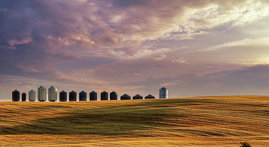 Sunset Photograph - Grain Bins All In A Row by Phil And Karen Rispin