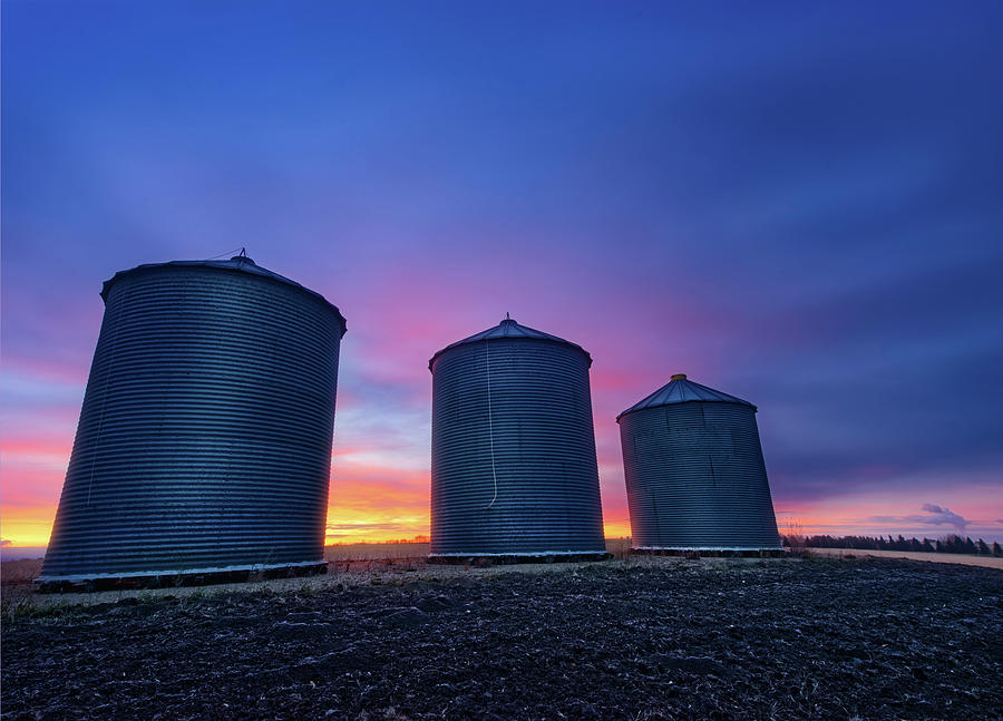 Grain Bins at Dawn Photograph by Dan Jurak
