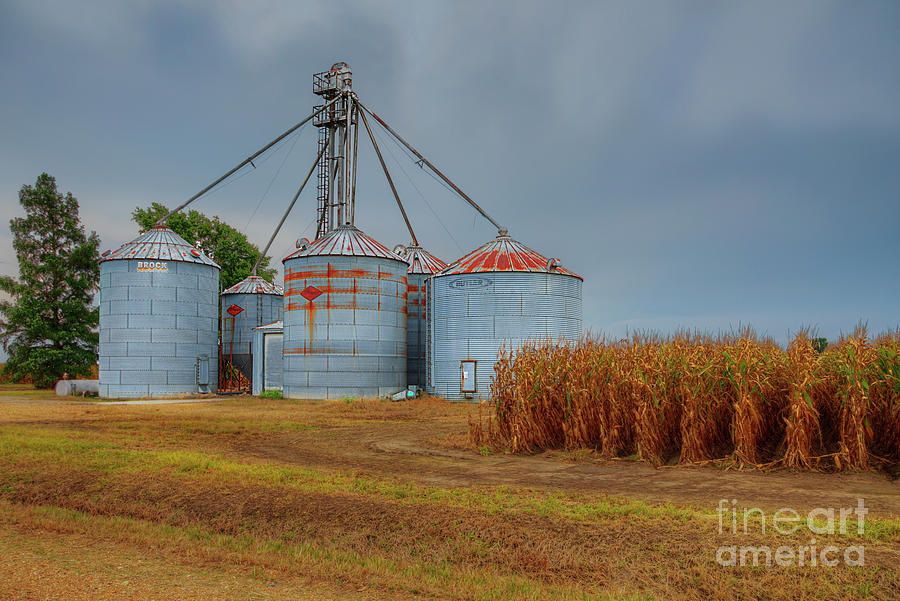 Landscape Photograph - Grain Bins at the Edge of a Field  by Larry Braun