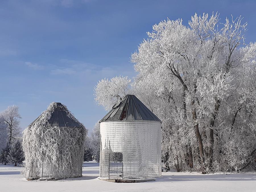 Grain Bins in Frost and Vines Photograph by Melissa Peterson