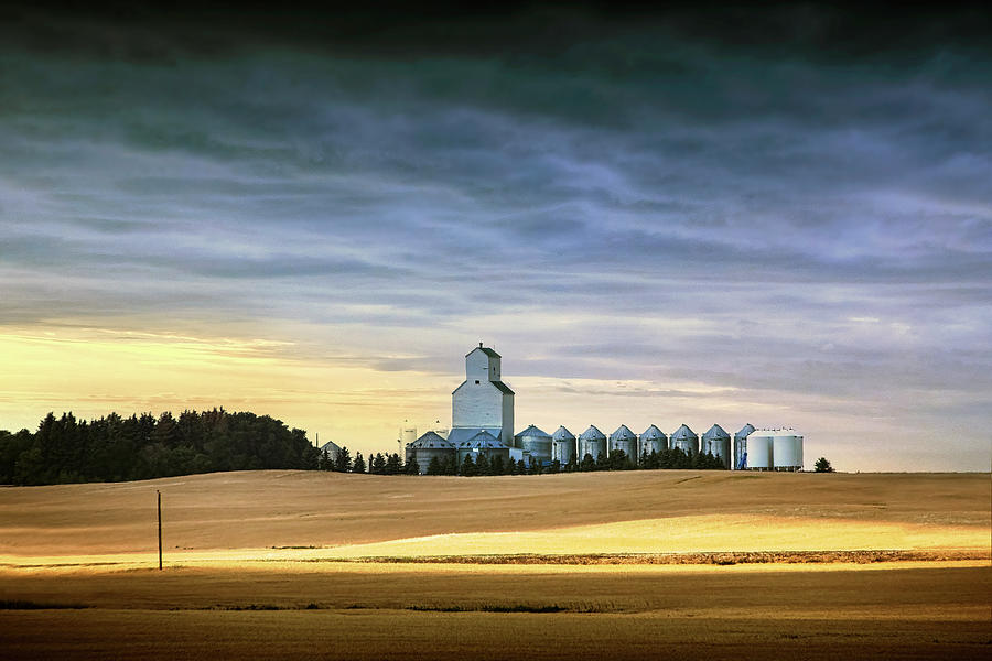 Grain Elevator in Western Canada Photograph by Randall Nyhof